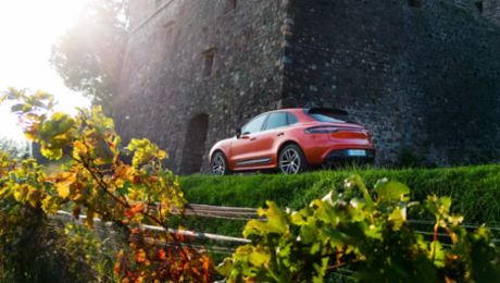 Una scelta per tutti i gusti