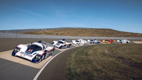 The preparations of Group C