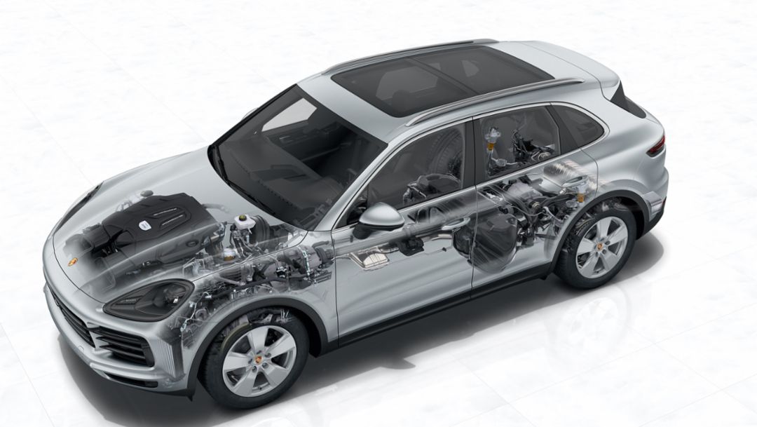 Cayenne - X-ray, PCNA